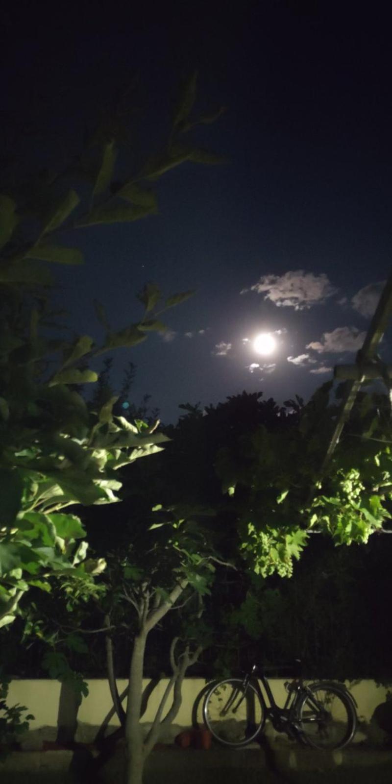 Morska Zvezda Guest House เชอร์โนโมเรทส์ ภายนอก รูปภาพ